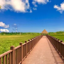 Fuvahmulah Wetlands - Fuvahmulah