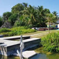 Fuvahmulah Wetlands - Fuvahmulah