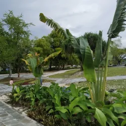 Hulhumale Central Park - Hulhumale