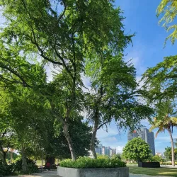 Hulhumale Ferry Terminal - Hulhumale