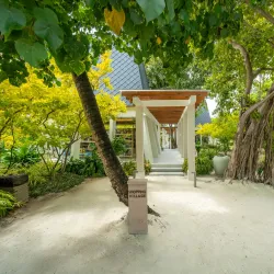 Cultural Festivals and Events - Isdhoo