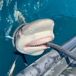 Fishing Trips - Isdhoo