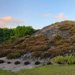 Isdhoo Ancient Buddhist Ruins - Isdhoo
