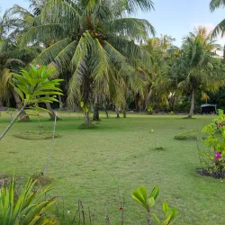 Isdhoo Ancient Buddhist Ruins - Isdhoo