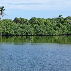 Island Nature Walks - Isdhoo