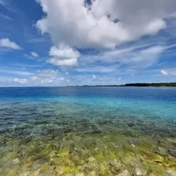 Island Nature Walks - Isdhoo