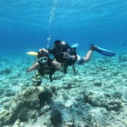 Snorkeling and Diving Spots - Isdhoo