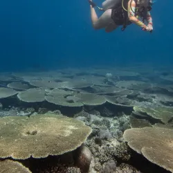 Snorkeling and Diving Spots - Isdhoo