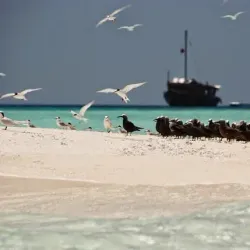 Traditional Maldivian Boat Rides (Dhoni) - Isdhoo