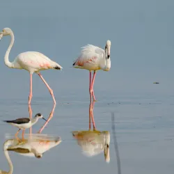 Community Parks and Recreation Areas - Kulhudhuffushi