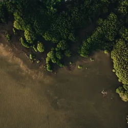 Cultural Festivals and Events - Kulhudhuffushi