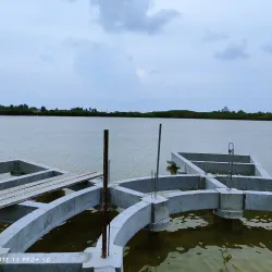 Cultural Festivals and Events - Kulhudhuffushi