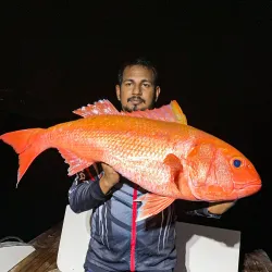 Fishing Trips from Kulhudhuffushi - Kulhudhuffushi