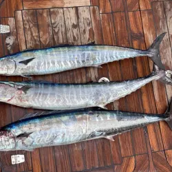 Fishing Trips from Kulhudhuffushi - Kulhudhuffushi