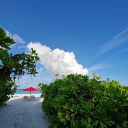 Haa Dhaalu Atoll Beach - Kulhudhuffushi