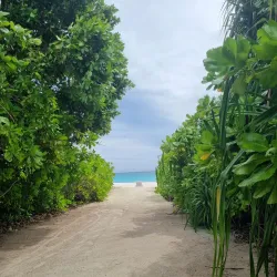 Haa Dhaalu Atoll Beach - Kulhudhuffushi