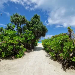 Haa Dhaalu Atoll Beach - Kulhudhuffushi