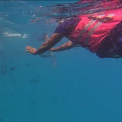 Snorkeling and Diving Spots Nearby - Kulhudhuffushi