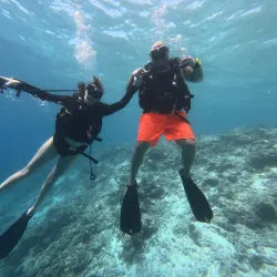 Snorkeling and Diving Spots Nearby - Kulhudhuffushi