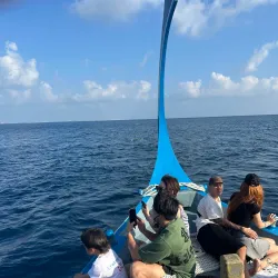 Snorkeling and Diving Spots Nearby - Kulhudhuffushi