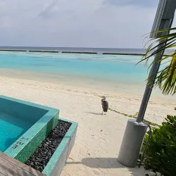 Kuramathi Spa - Kuramathi