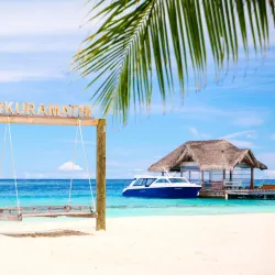 Sunset Dolphin Cruise - Kuramathi