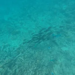 Water Sports Center - Kuramathi