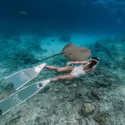 Dolphin Watching Tours - Maafushi