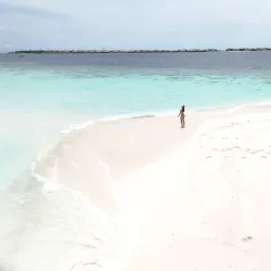 Dolphin Watching Tours - Maafushi