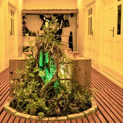 Local Island Village - Maafushi