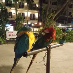 Maafushi Beach - Maafushi