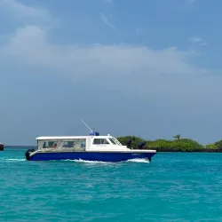 Sandbank Excursions - Maafushi