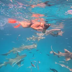 Sandbank Excursions - Maafushi