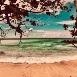 Sandbank Excursions - Maafushi