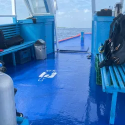 Sandbank Excursions - Maafushi