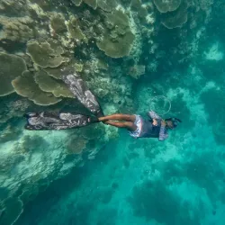 Sandbank Excursions - Maafushi