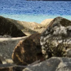 Sandbank Excursions - Maafushi