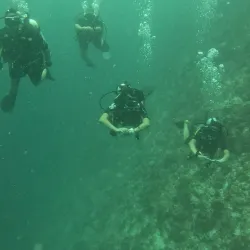 Snorkeling and Diving Sites - Maafushi