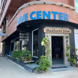 Snorkeling and Diving Sites - Maafushi