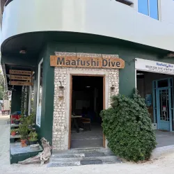 Snorkeling and Diving Sites - Maafushi