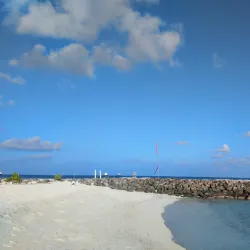 Snorkeling and Diving Sites - Maafushi