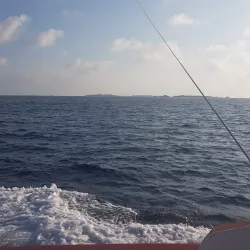 Snorkeling and Diving Sites - Maafushi