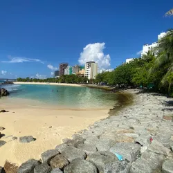 Artificial Beach - Male