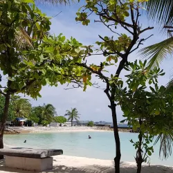 Artificial Beach - Male