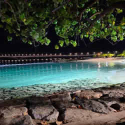 Artificial Beach - Male