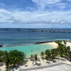 Artificial Beach - Male