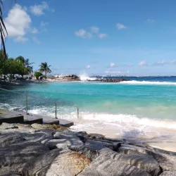 Artificial Beach - Male