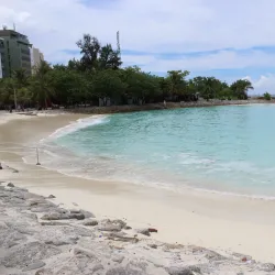 Artificial Beach - Male