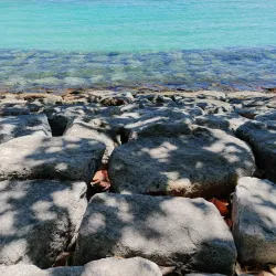 Artificial Beach - Male