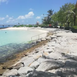 Artificial Beach - Male